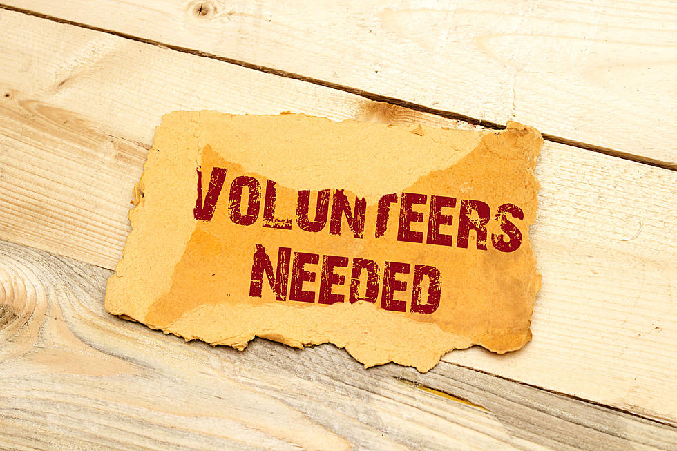 4 Exciting Volunteer Opportunities in the Hudson Valley, New York