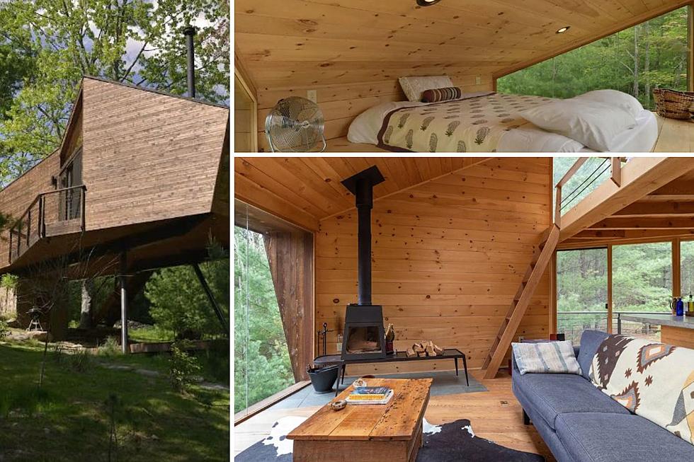 Treat Yourself to a Tree House Vacation in New York State