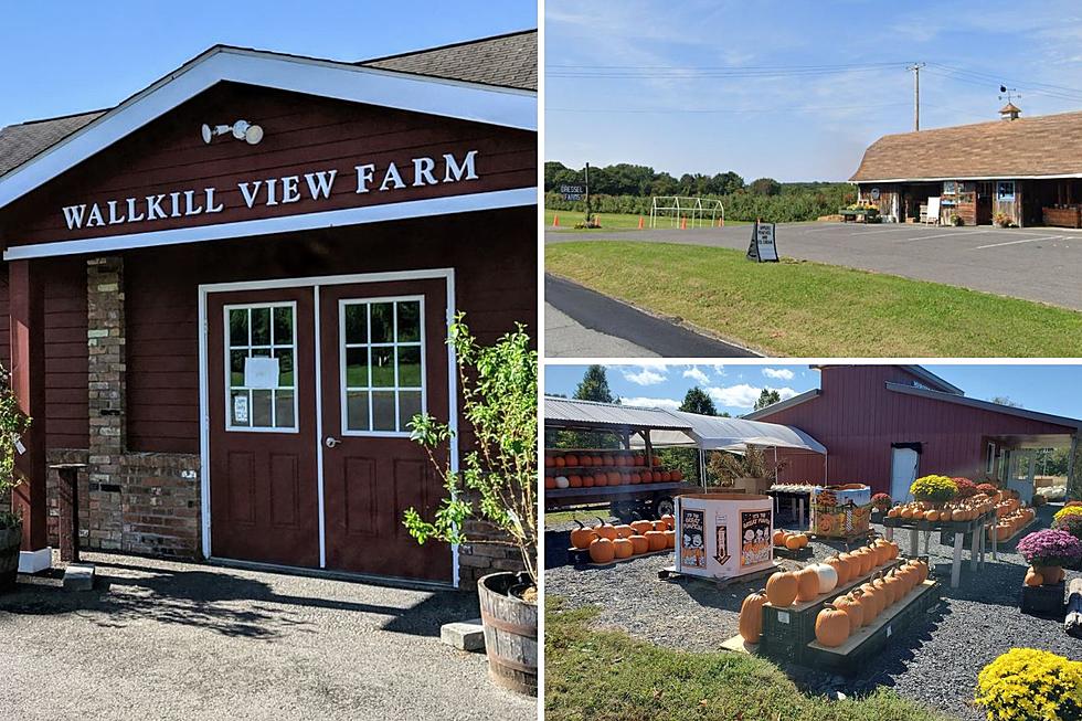 New Paltz Farm Markets with All Your Fall Favorites