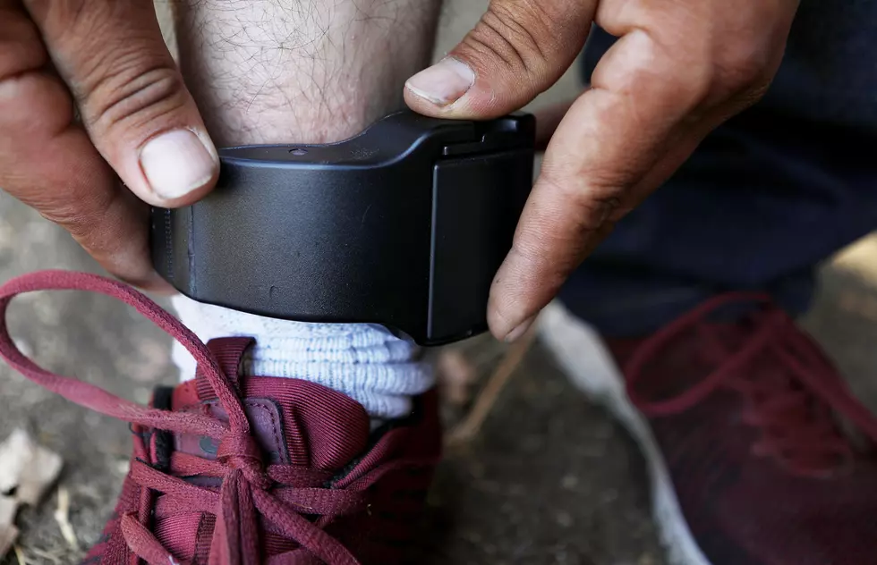 New York Authorities Searching for Man After Ankle Monitor Turns Up on a Dog