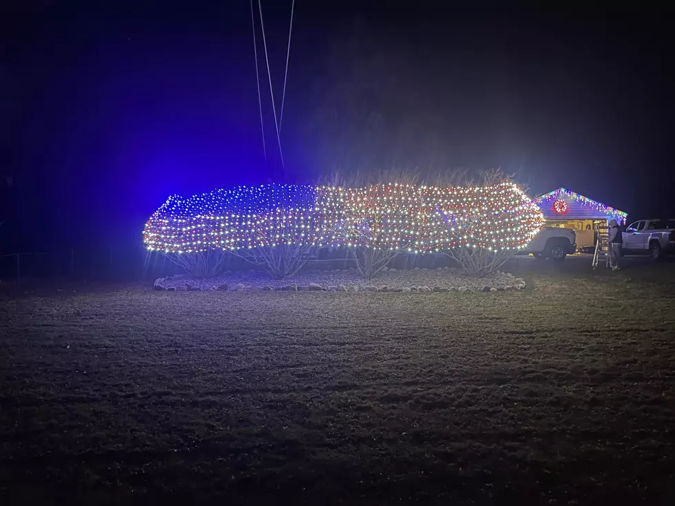 Local Light Display Generates Heartwarming Act of Kindness in East Fishkill