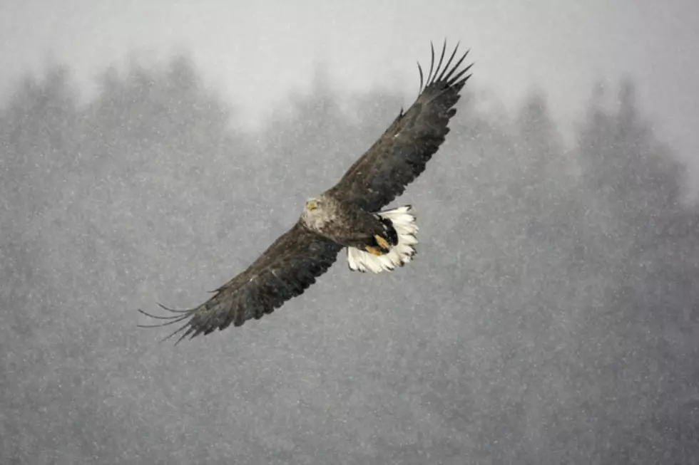 Credit<br />MikeLane45<br />ThinkStock