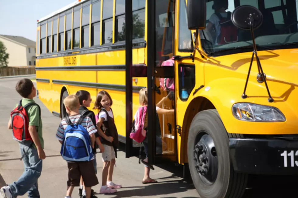 Grants Available For New York State Park Field Trips