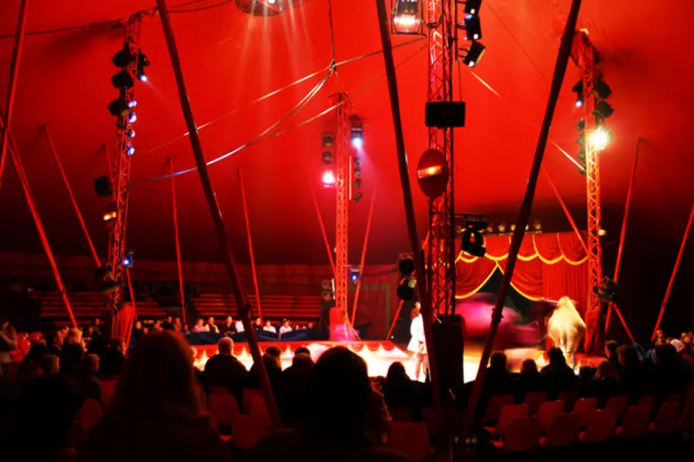 Red circus !