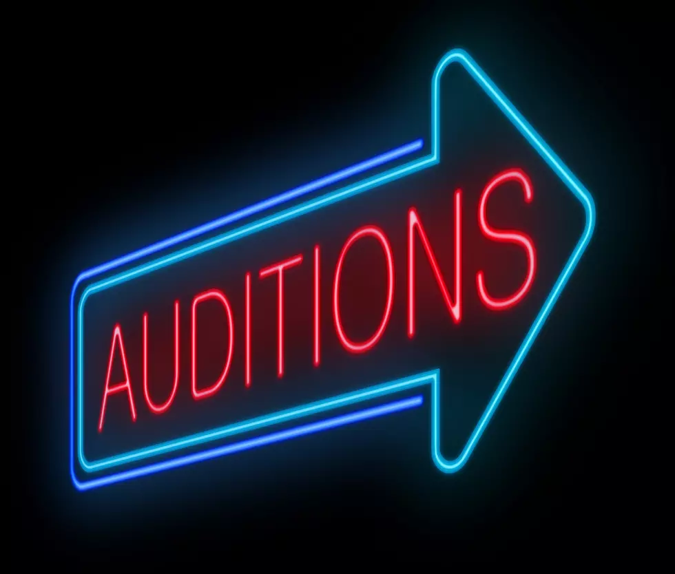Denizen Theatre in New Paltz is Holding Auditions