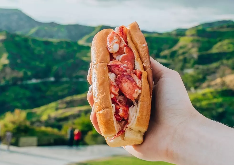 Shark Tank Lobster Returns to Poughkeepsie in November