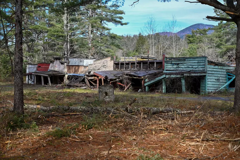 Adirondack Drone