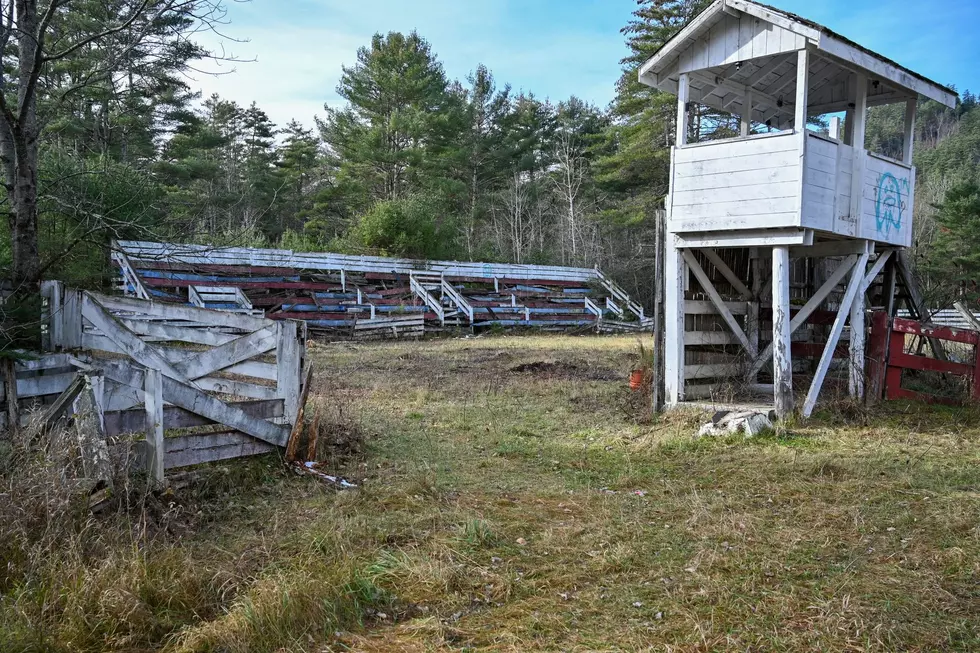 Adirondack Drone