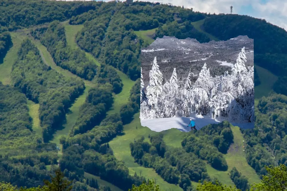 Summer Fun at Popular Winter Destination Suspended for Now