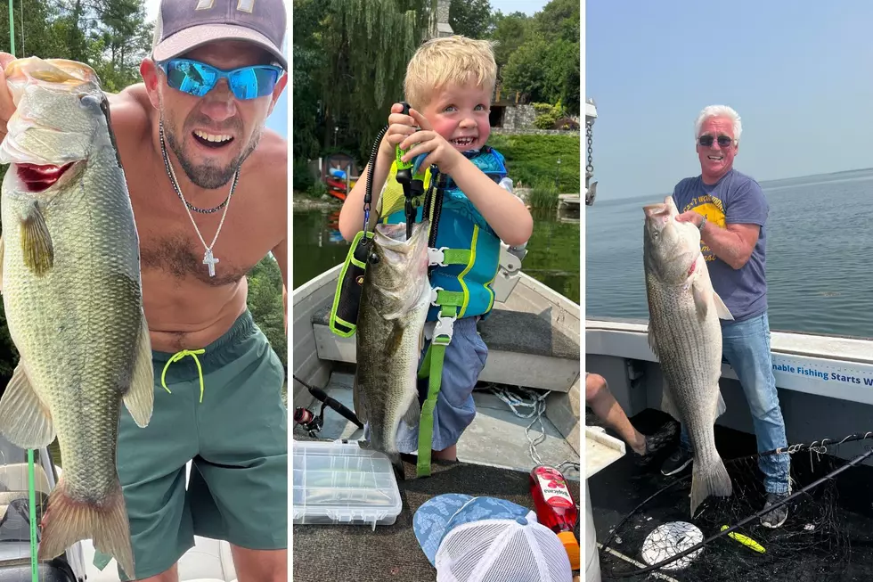 Show Us Your Bass 2024 Contest Rules