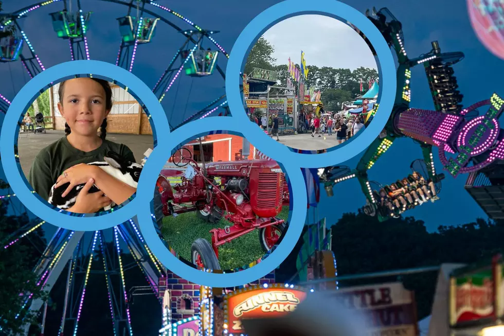 A Daily Look at What You Can Do at the Ulster County Fair in New Paltz