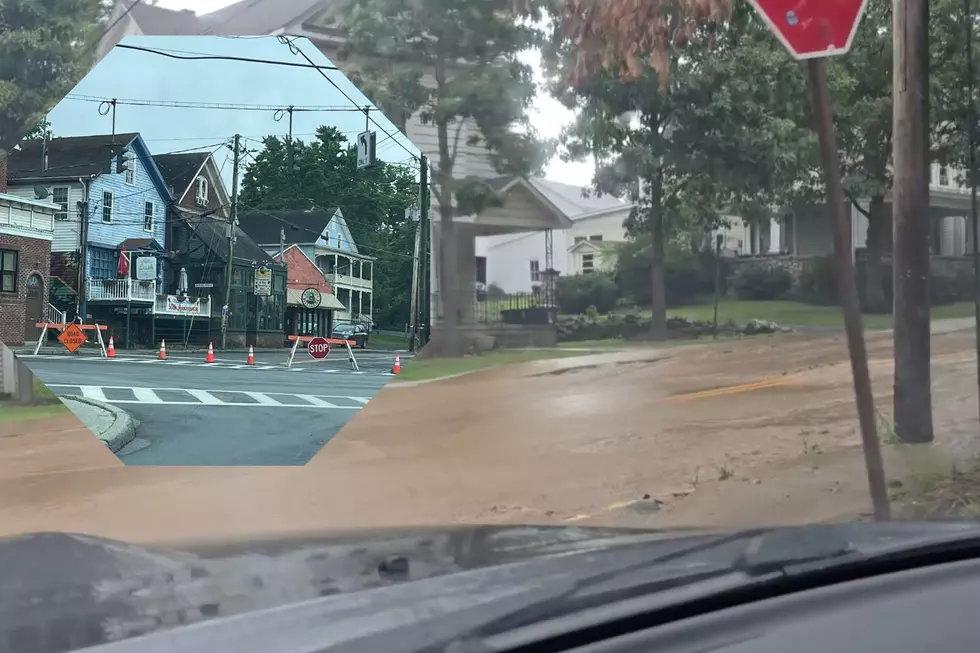An All Too Common Occurrence Shuts Down Road In New Paltz