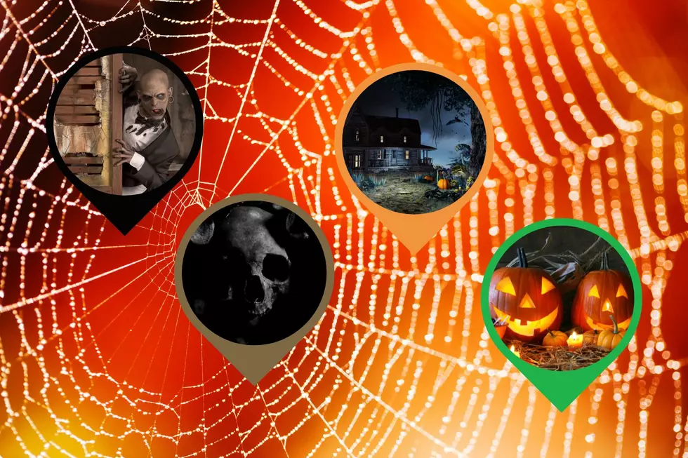 What Halloween Decoration Best Describes Your Hometown New York