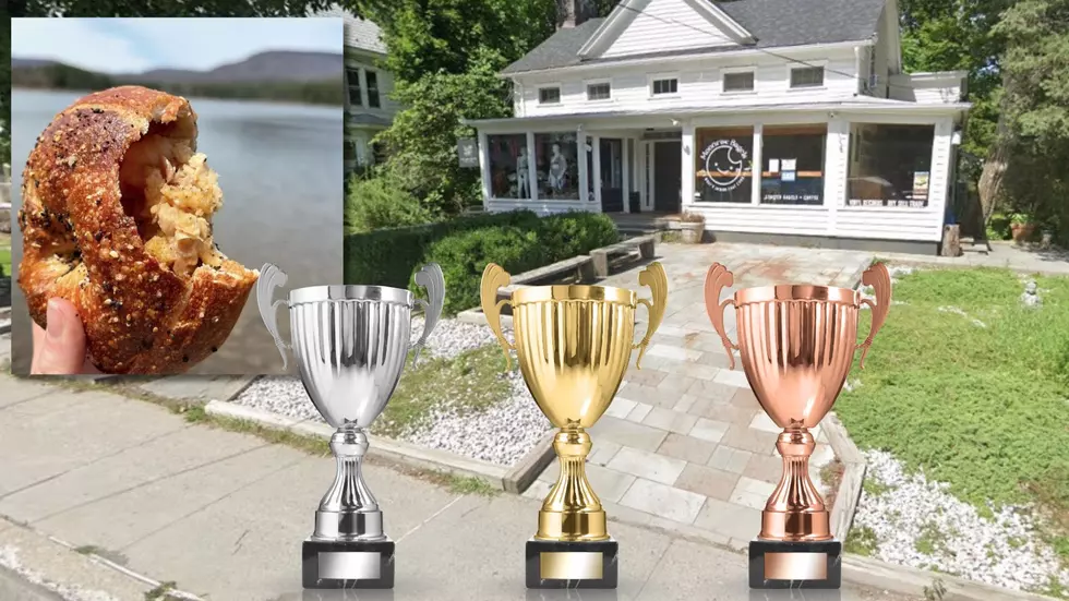 Creative Hudson Valley Bagel Wins at New York Bagel Festival