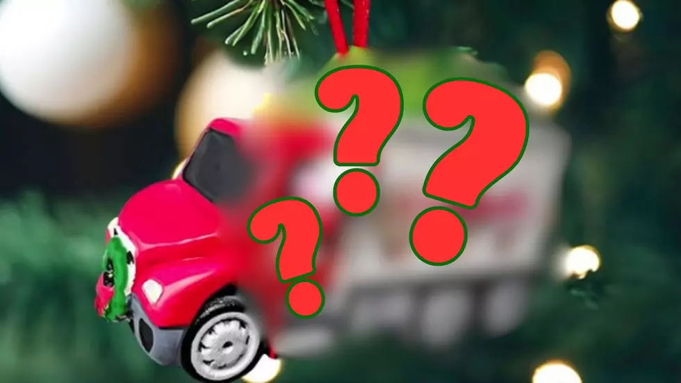 Stewart’s Shops Release 2024 Limited Edition Holiday Ornament