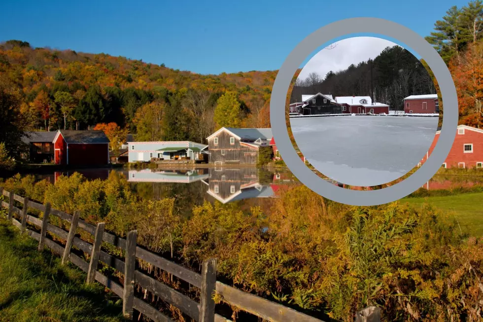 Winter Harvest at New York Museum Will Makes Summer Treat