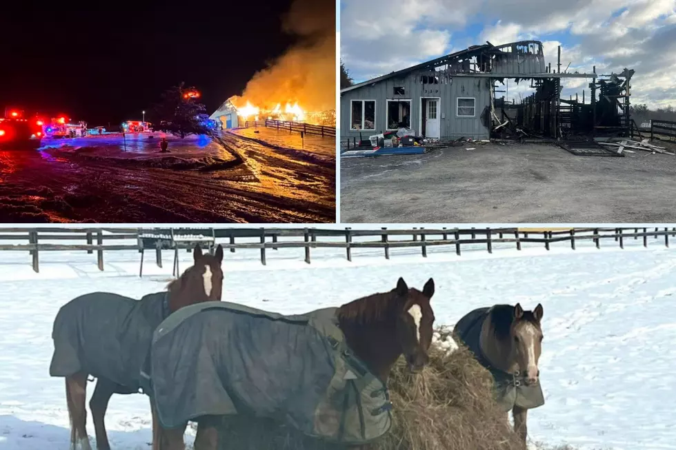 Orange County New York Farm Recovering After Devastating Fire