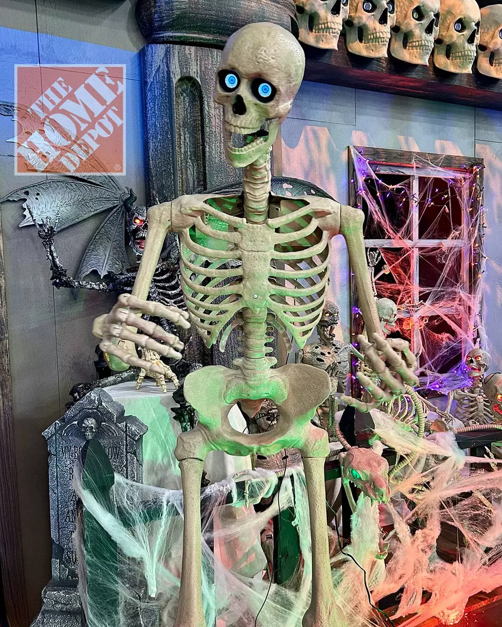No Bones About it, Skelly is Popular