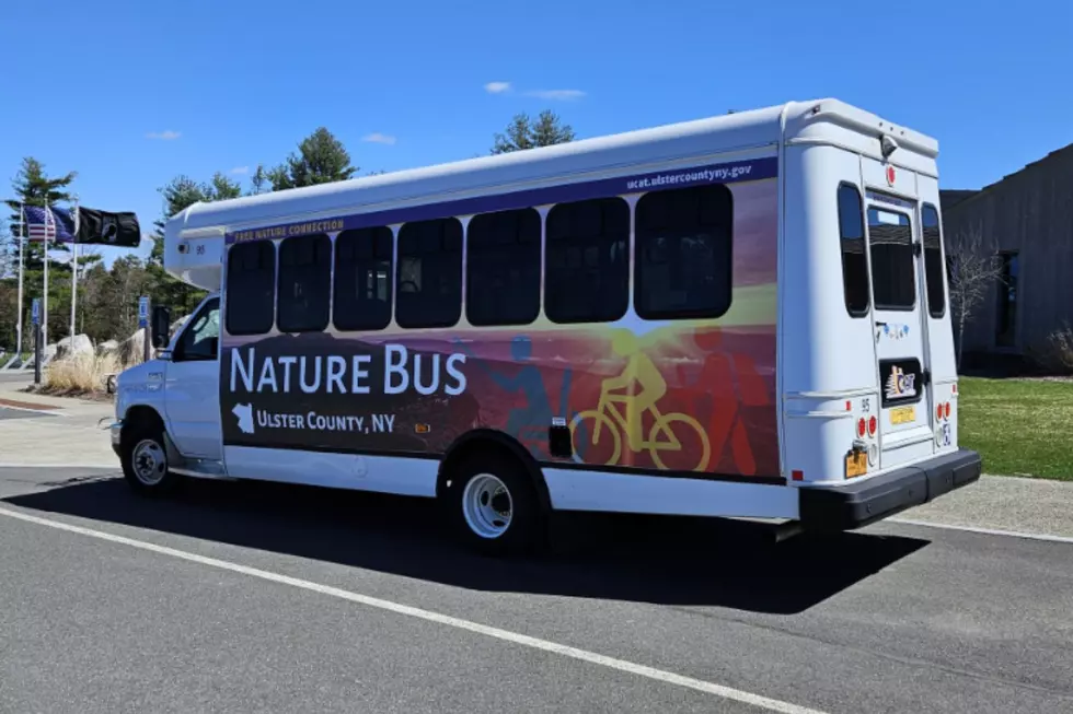 What You Need To Know About the Nature Bus in Ulster County