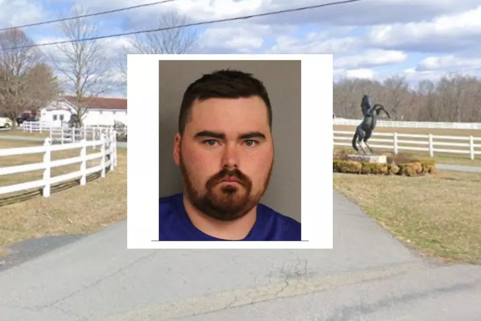 Canadian Man Sentenced to Several Years in Prison For Death of Pine Bush Racehorse