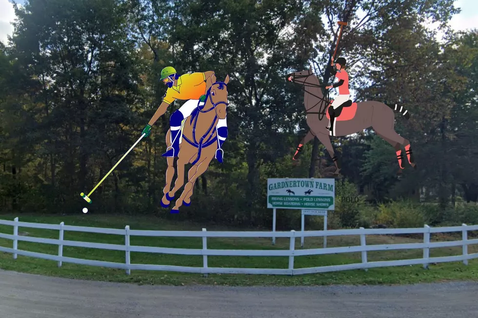 Established New York Polo Program Looking For Teenagers to Play