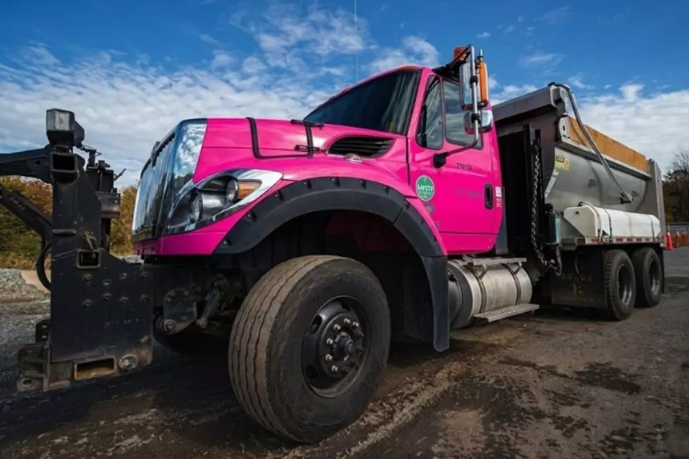 New Color for State Vehicles in New York?
