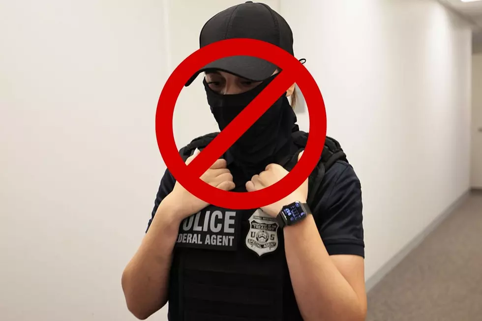 New Law to Ban Masked Police Officers Gains Support in Dutchess County