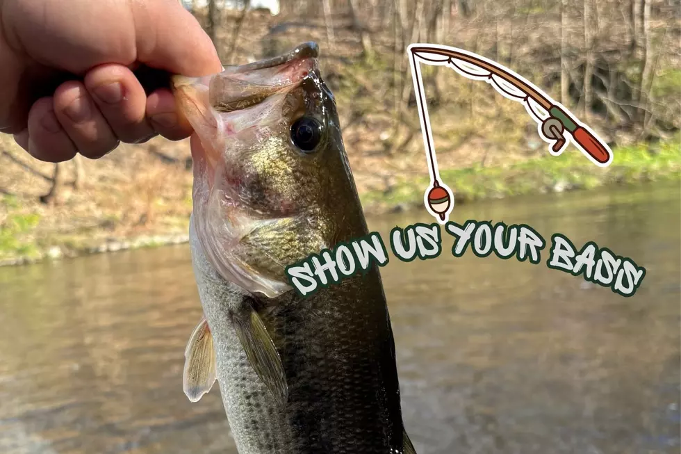 Catch A $500 Gift Card With Your Best Fishing Photo
