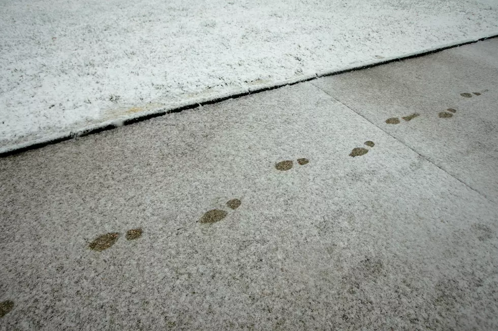 Winter Weather Advisory in Effect: Snow & Ice Expected For Much of Hudson Valley Overnight