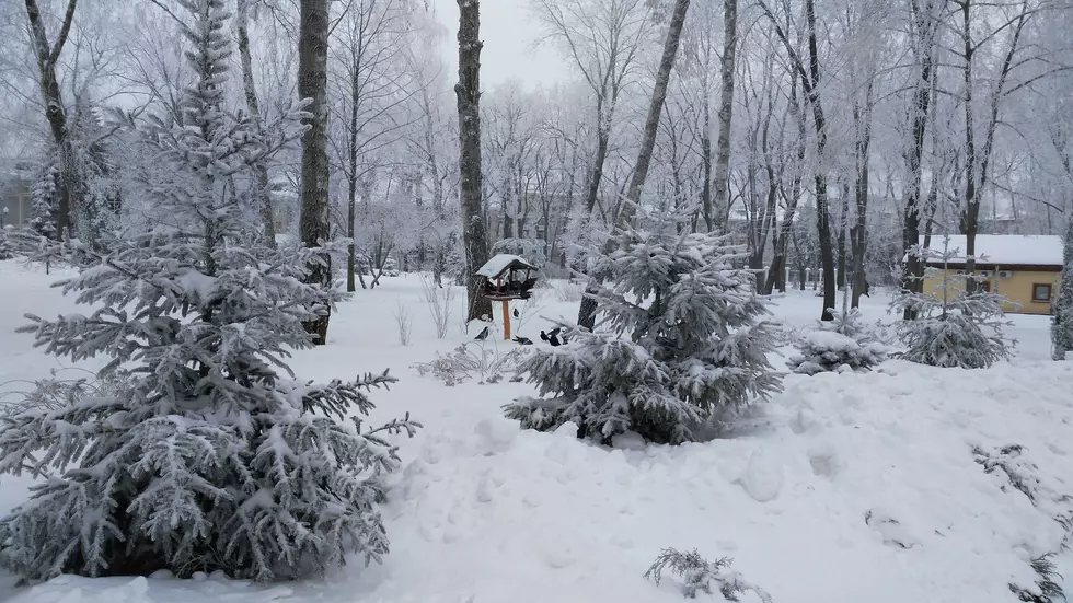 Winter May Arrive Early In New York With Snow Soon